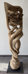 "Wind-Rose"